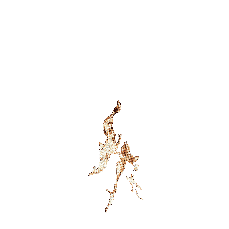 Fire 1