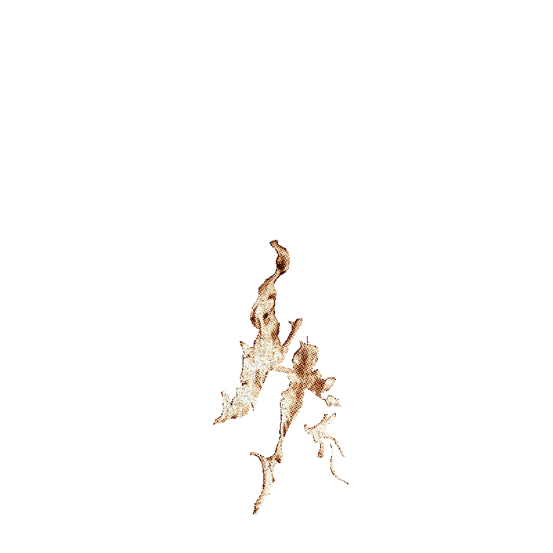 Fire 2
